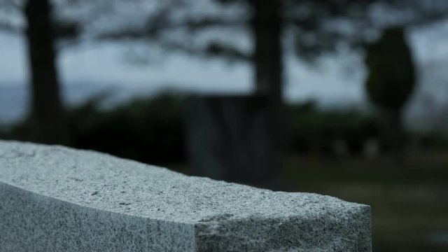 slow motion rose placed on top of grave stone in cemetary