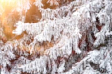 Blurred background defocus
