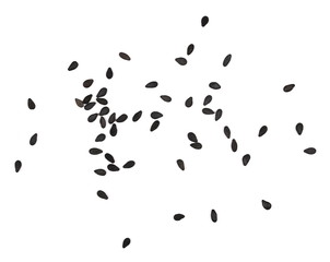 Black organic sesame seeds isolated on white background, top view