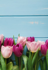 Flowers background, Violet and pink tulips on blue wood, copy space