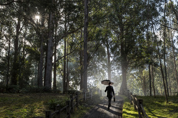 Obraz premium Looking for quiet place