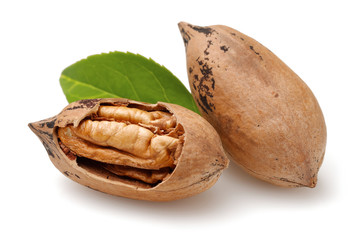 Pecan nuts
