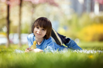 Cute little boy with ducklings springtime, playing together