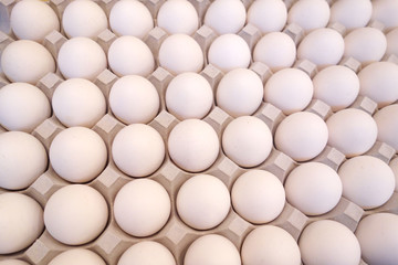 eggs