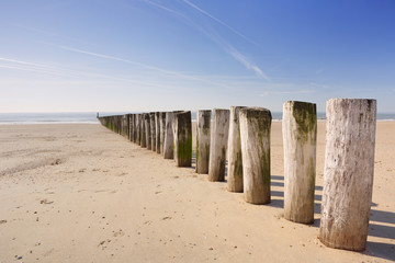 Fototapeta na wymiar Wooden groyne on the beach at Dishoek in The Netherlands