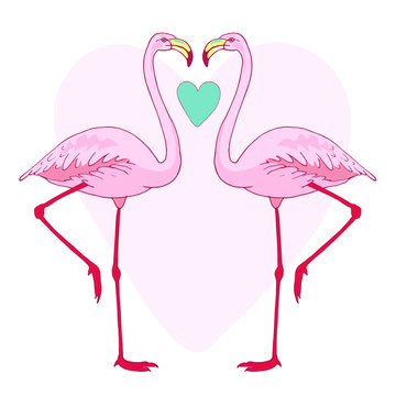 Vector pink flamingo bird couple illustration. Hand drawn sketch with the wild animal. Romantic Valentines day illustration