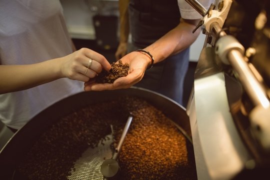 Barista Checking Coffee Beans In Roasting Machine