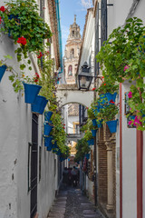 Calleja de las Flores in Cordoba, Andalusia, Spain.