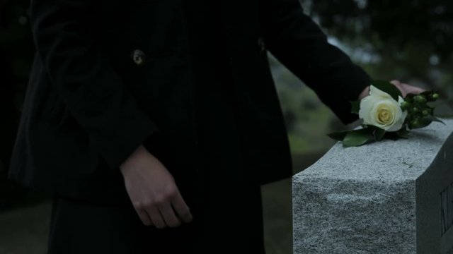 slow motion woman placing rose on top of grave stone in cemetary