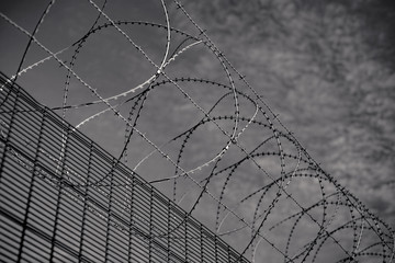 spiral barbed wire over the border fence to stop immigrants