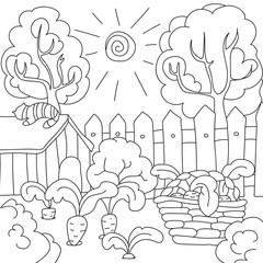 vector coloring book carrots in the garden