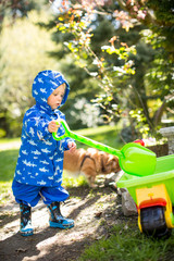 im Herbst Gartenarbeit