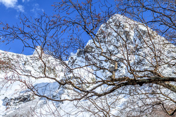 Beautiful scenic landscape of snow covered mountain peaks on sunny day at spring with blue sky and bare tree branches on foreground
