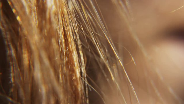 Slow Motion Close Up Of Girls Hair Blowing In The Wind