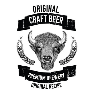 Hand drawn beer emblem with buffalo, ox, bull Vector image