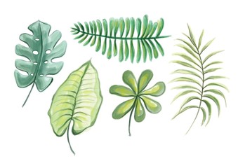 Tropical Leaves Watercolor