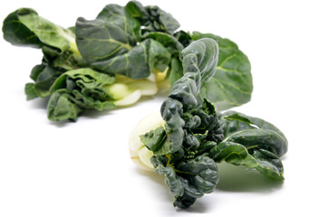 Milk cabbage bok choy