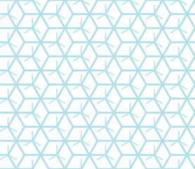 Fototapeta premium hexagon geometric line grid pattern vector background
