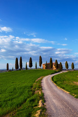 old house and cypresses