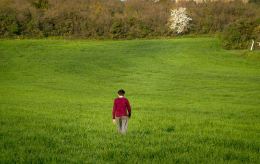 Happy boy running on the green wheat field