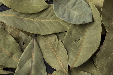 Bay leaf background.