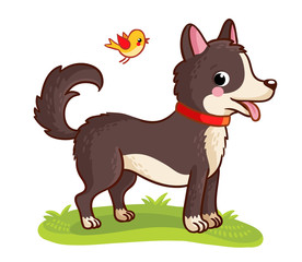 A dog stands in a meadow and chews grass.