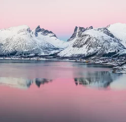 Photo sur Plexiglas Reinefjorden View of the beautiful fjord on Senja island with magical pink light at sunset, Troms county - Norway