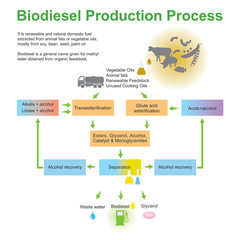 Biodiesel Production Process. biodiesel is a general name given for methyl ester obtained from organic feedstock. - obrazy, fototapety, plakaty