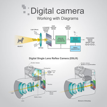 Digital camera dslr diagram. Vector graphic.