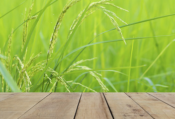 Obraz premium wooden plank with green rice Field
