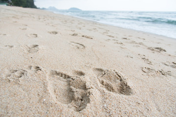 Footprints on the sand beach beach.