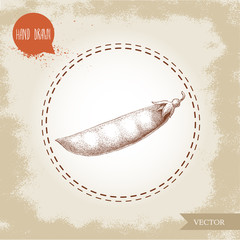 Hand drawn sketch pea pod. Vector organic food illustration on grunge vintage background.