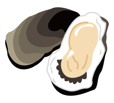 牡蠣のイラスト