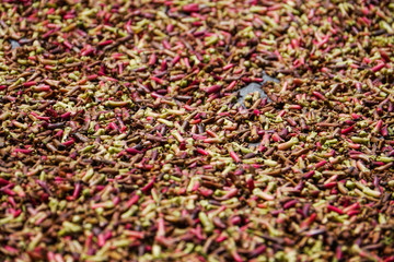 Nelken werden am Strassenrand getrocknet