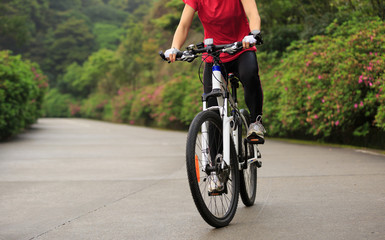 Fototapeta na wymiar cyclist cycling mountain bike on foggy forest trail