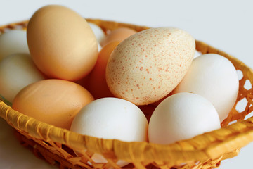 lot of chicken and Turkey eggs are in one basket