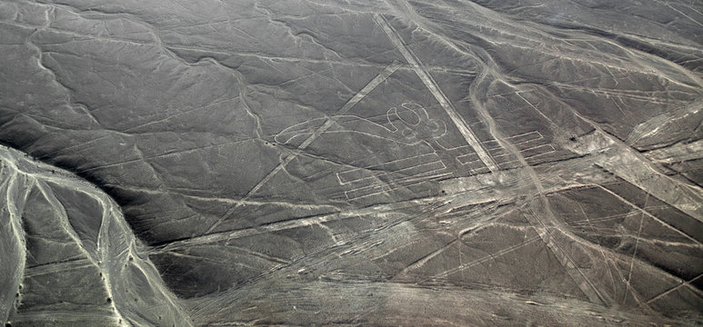 Nazca lines - Parrot. Lines and Geoglyphs in the Nazca desert. It is a designated UNESCO World Heritage Site - Peru, South America