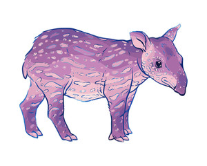 Hand drawn vector tapir - obrazy, fototapety, plakaty