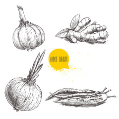Hand drawn sketch style set illustration of different spices isolated on white background. Garlic, ginger root, onion and red hot chili peppers.