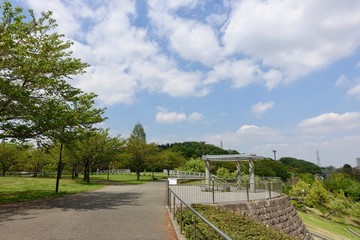 春の空