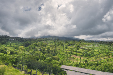 Fototapeta na wymiar Landscape with green vibrant rice terraces with palm trees and mountains with heavy clouds