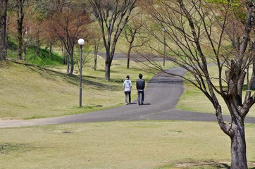春の公園を歩くカップル