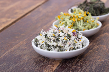 dried herbs / Bowls of various dried herbs