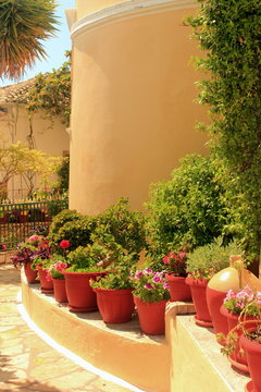 red terracotta flower herb plant pots along a curved yellow wall