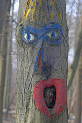 Wald-Wächter