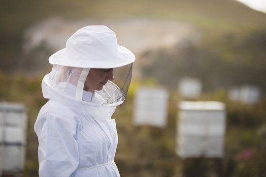 Female Apiarist Wearing Bee Suit At Apiary