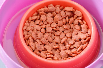 pet food in red bowl on water tray for protected ant or insect feeding