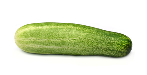 Fresh Cucumber