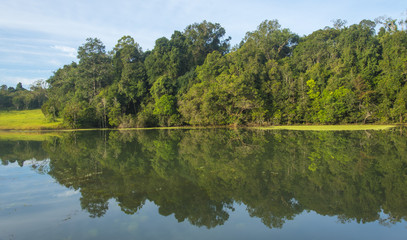 Fototapeta na wymiar tropical forest reflection on water lake