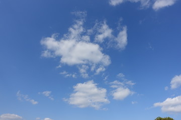 春の青空